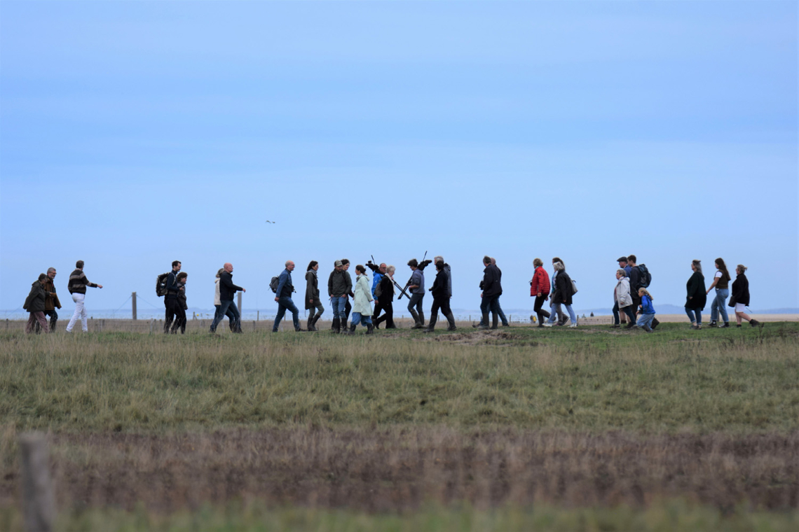 begeleide wandelingen