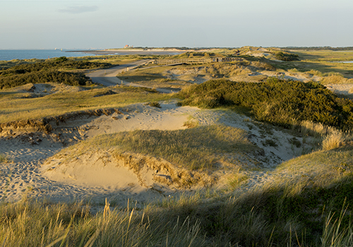 zwinduinen