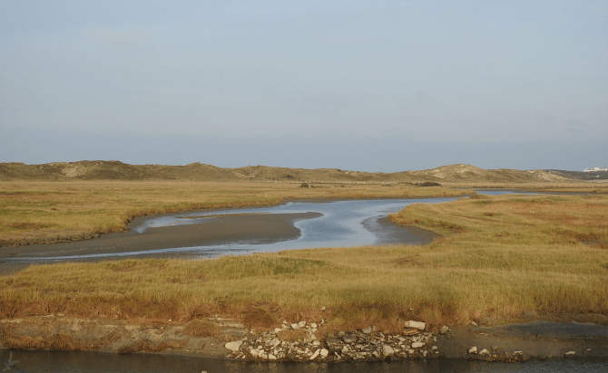 Zwinvlakte bij laag water