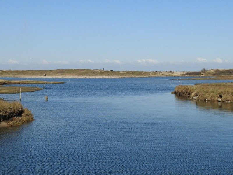 buitengewoon onderwijs