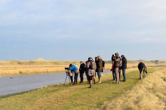 Wandeling met Zwingids