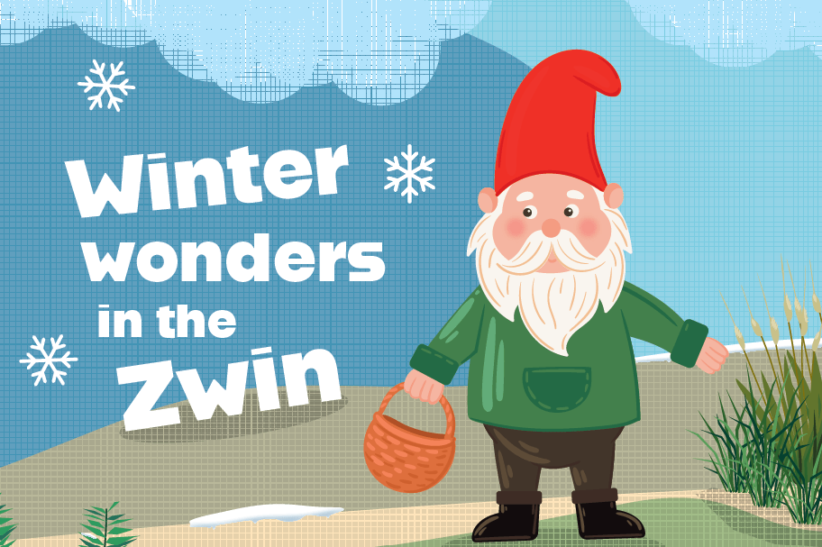 Winter wonders in the Zwin