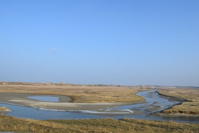 Zwinvlakte