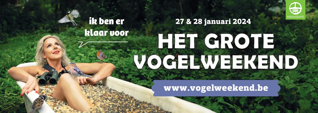 Het grote vogelweekend