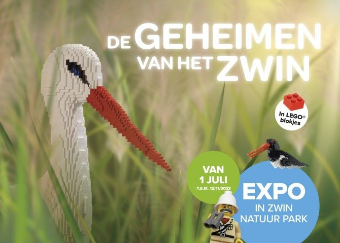 Lego expo - De geheimen van het Zwin 