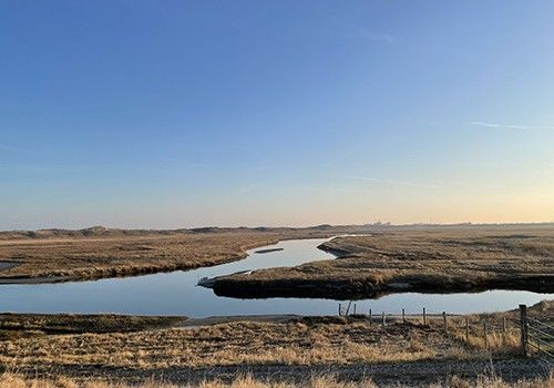 Le Zwin en été