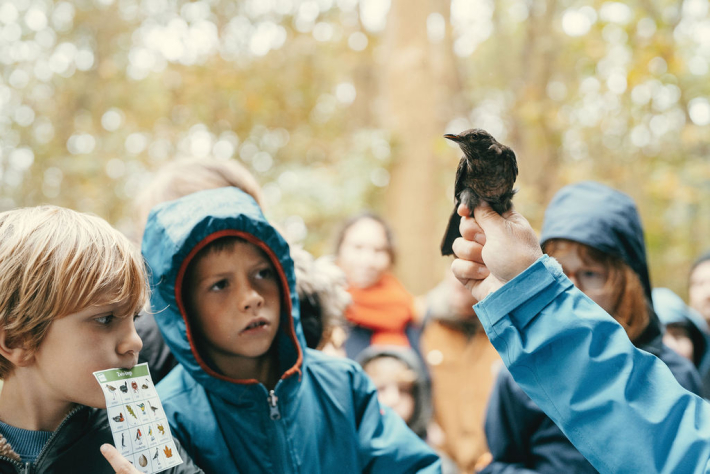 Baguage des oiseaux