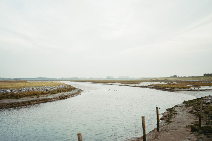 la plaine du Zwin