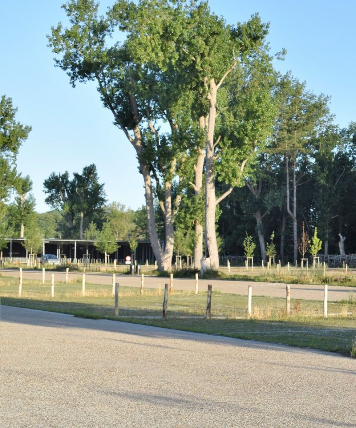 Parking Zwin Natuur Park
