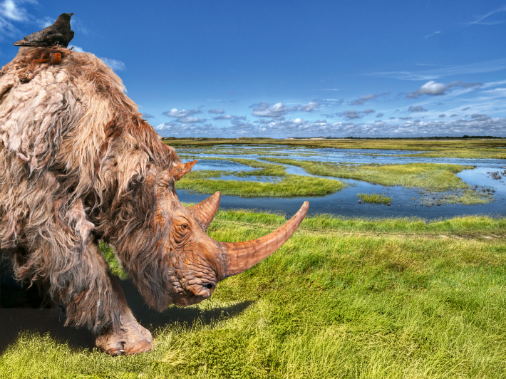 Doggerland exhibition