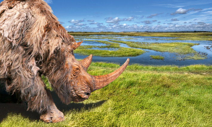 tentoonstelling Doggerland
