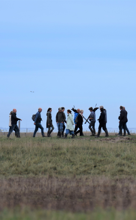 wandelingen in het zwin