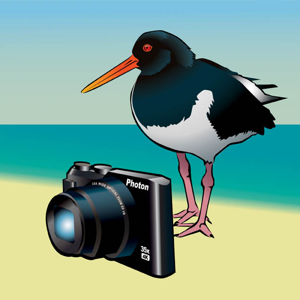 foto- en filmreglement