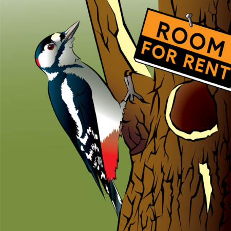 Renting a room