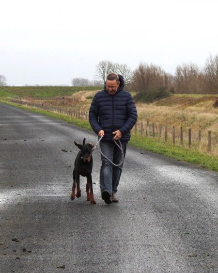 hond aan de leiband