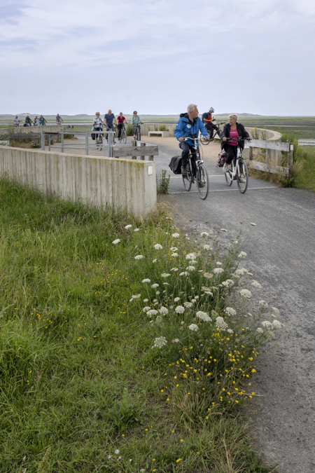 begeleide fietstocht op aanvraag