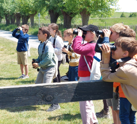 ornithologen in spe