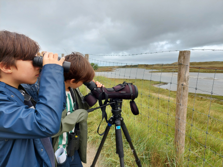 ornithologen in spe