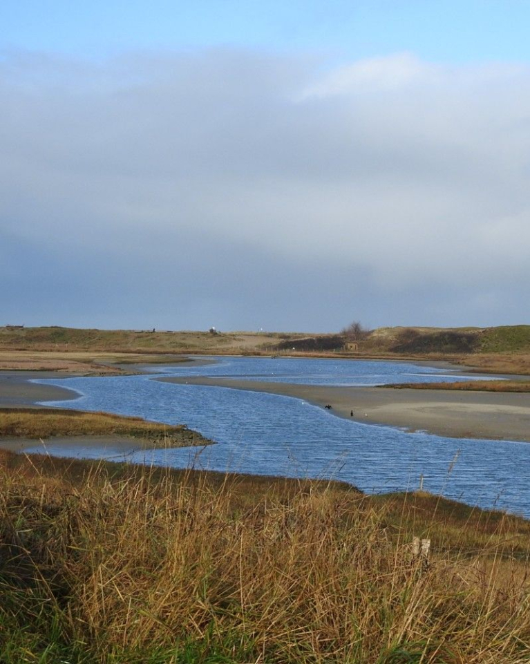 Zwinvlakte