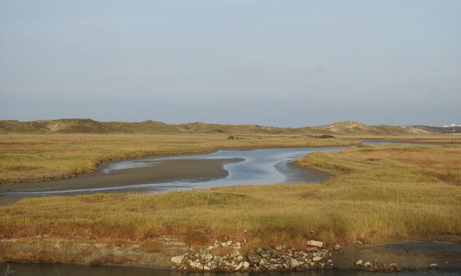 Zwinvlakte