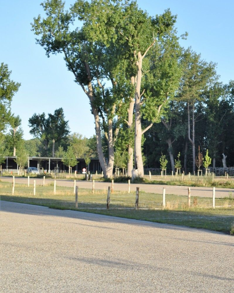 parking Zwin Natuur Park