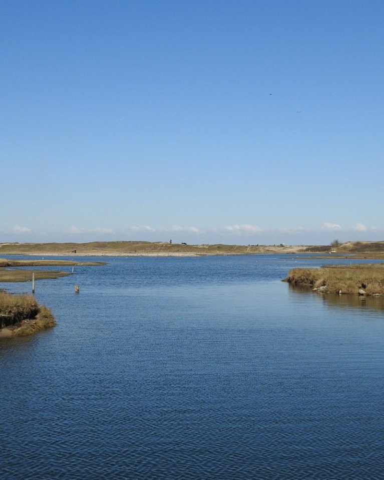 Zwinvlakte
