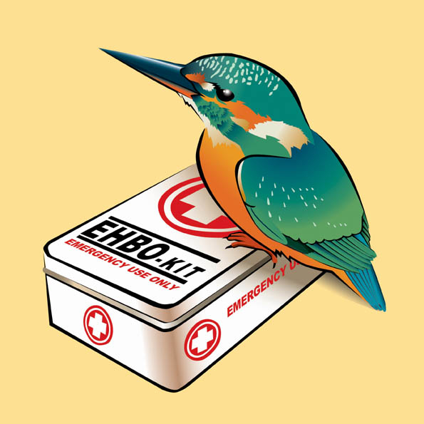Vögel (verletzt/gefunden)