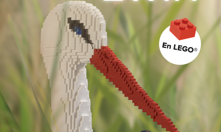 les secrets du zwin