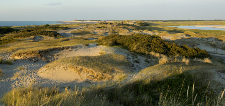 zwinduinen