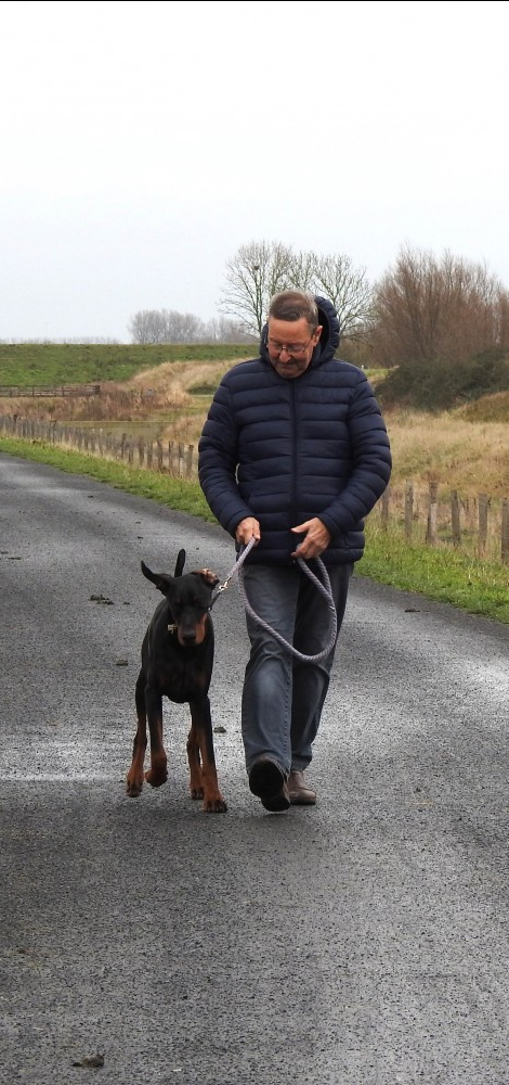 hond aan de leiband