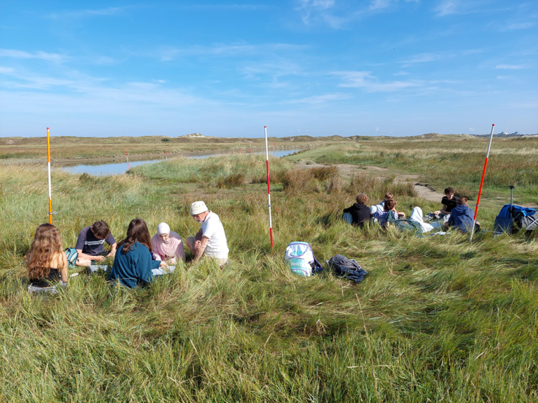 biodiversiteit planten