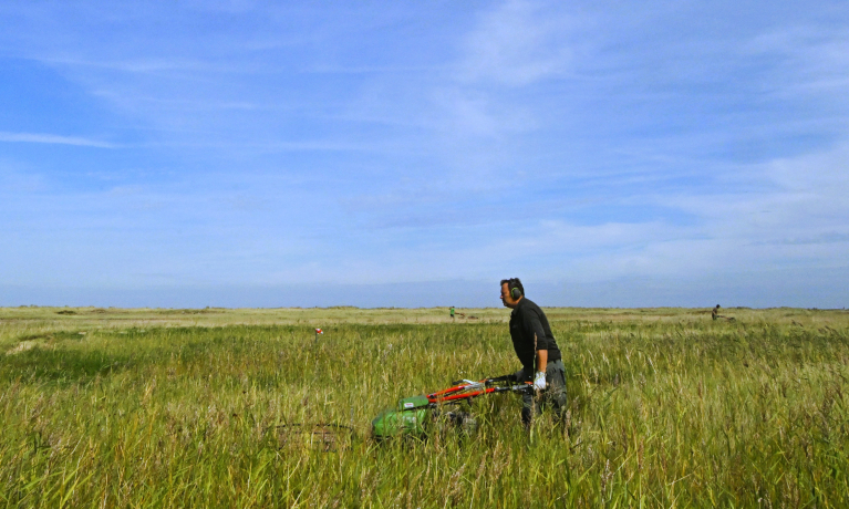zwin, topnatuur