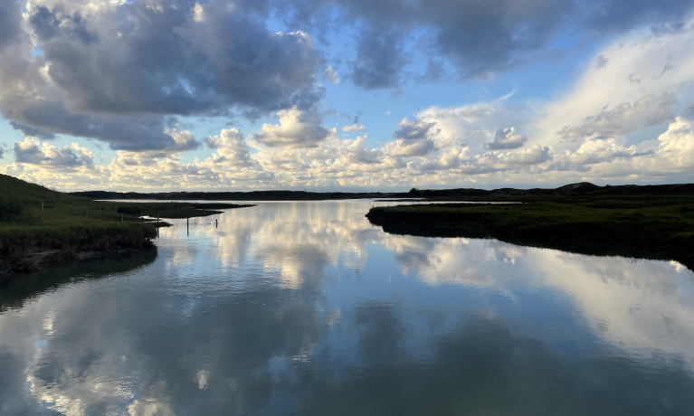 Zwinvlakte