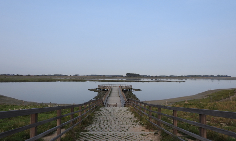 Zwindijk