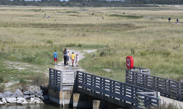 wandelingen
