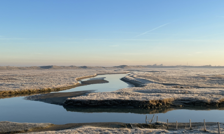 winter in het zwin