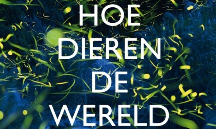 hoe dieren de wereld zien