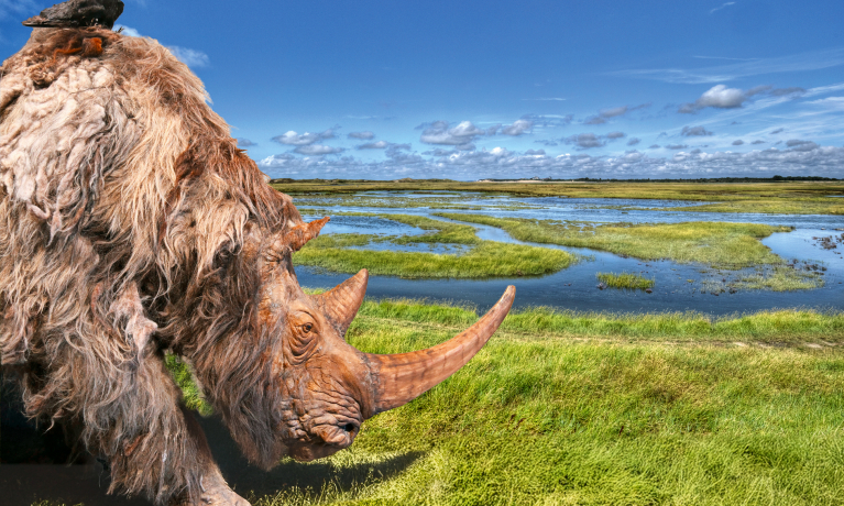 doggerland
