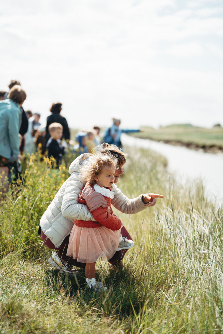 zomer in het zwin