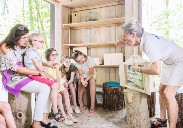 Balade du Zwin dans la parcours de cabanes avec guide