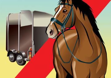 Horse trailers