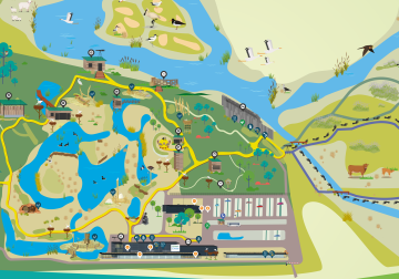 plan van het park