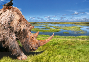 doggerland